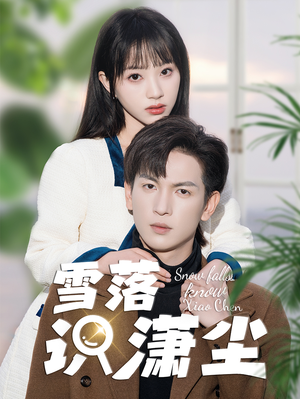 雪落识潇尘（80集）无需会员免费看