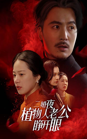 二婚夜植物人老公睁开眼（78集）UC网盘在线看