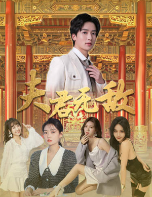 夫君无敌（100集）穿越短剧推荐