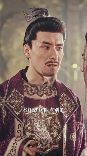 精忠报国（41集）短剧免费看