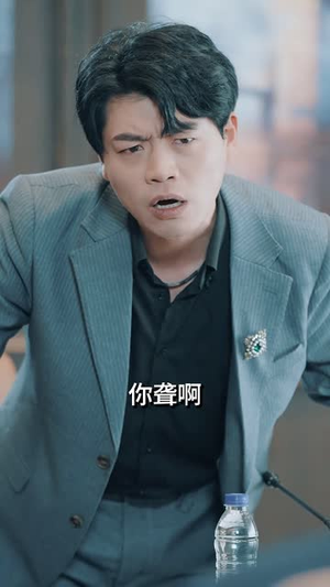 大夏帝骄（84集）最新热播短剧