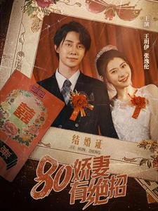 80娇妻有绝招（55集）剧情简介