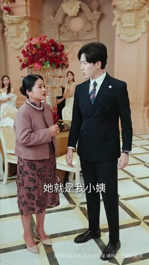 顾总的隐秘之恋（34集）一口气看完