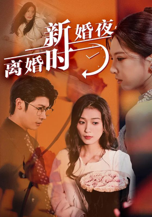 新婚夜，离婚时（35集）短剧解说全集