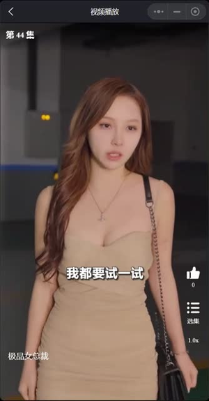 我的富豪美女总裁（我的极品女总裁）全剧免费观看