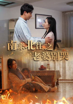 南来北往之老婆别哭（87集）免费版