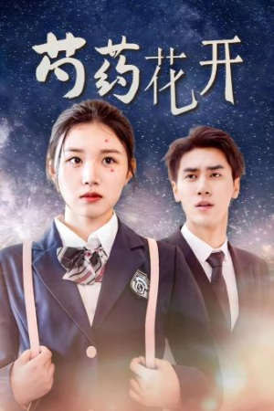 火光中的芍药花（77集）在线看完整版