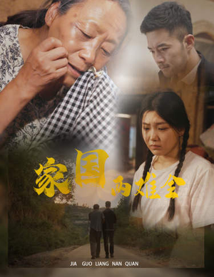 家国两难全（62集）越看越好看短剧