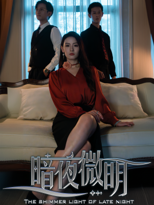 暗夜微明（70集）每日短剧追不停