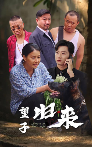 望子归来（50集）恋爱短剧分享
