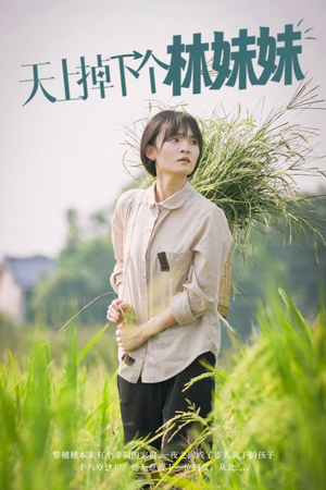 天上掉下个林妹妹（81集）夸克在线观看
