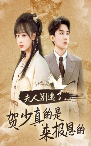 夫人别逃了贺少真的是来报恩的（63集）最后的大结局