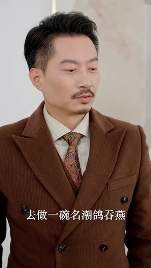 婚礼上的陌生人（65集）解说