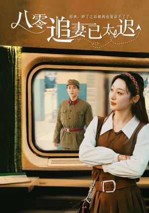 八零追妻已太迟（50集）推荐你们也去看