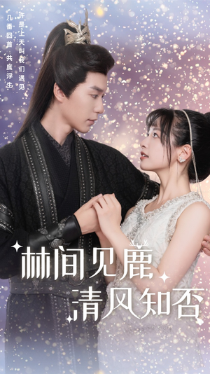 林间见鹿清风知否（62集）一起追生活短剧