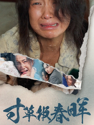 寸草报春晖（65集）360网盘观看