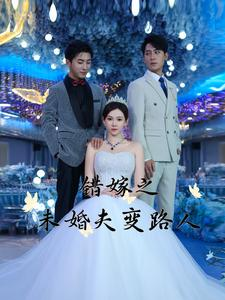 错嫁之未婚夫变路人（55集）高清画质免费看