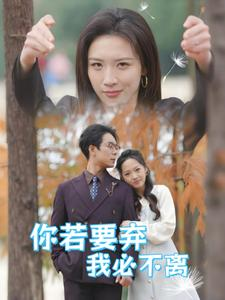 你若要弃我必不离（30集）推荐好短剧