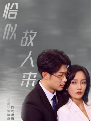 恰似故人来（79集）短剧有好货推荐