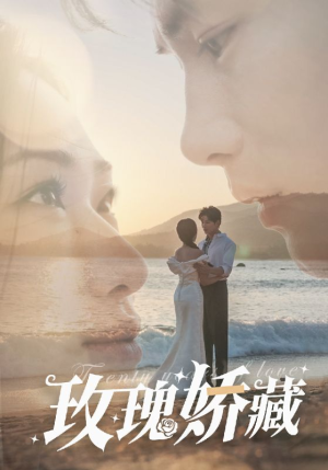 玫瑰娇藏（50集）短剧小说在线看