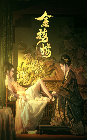金枝楼（52集）短剧小说在线看