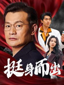 挺身而出（30集）1-102集