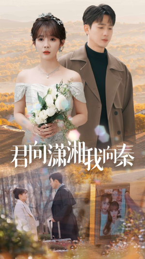 君向潇湘我向秦（30集）百度网盘在线看