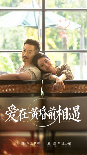 爱在黄昏前相遇（65集）好看又上头短剧