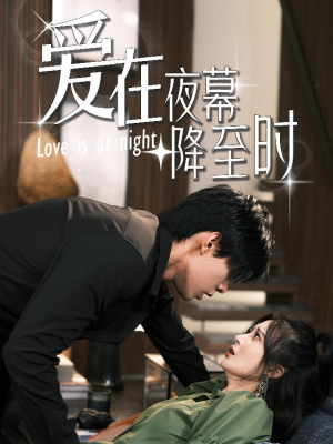 爱在夜幕降至时（73集）无需会员轻松看