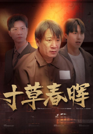 寸草春晖（31集）短剧精彩绝伦