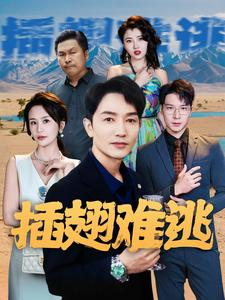 插翅难逃（43集）最新火爆短剧