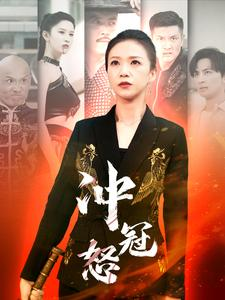 冲冠怒（93集）海量短剧免费看
