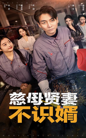 慈母贤妻不识婿（45集）火爆短剧抢先看