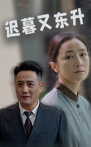 迟暮又东升（35集）大结局一气呵成
