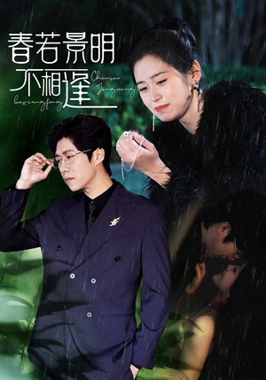 春若景明不相逢（50集）看过的人都说好