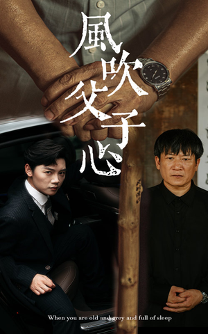 风吹父子心（65集）百度网盘资源