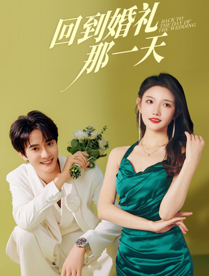 回到婚礼那一天（88集）好看短剧追不停