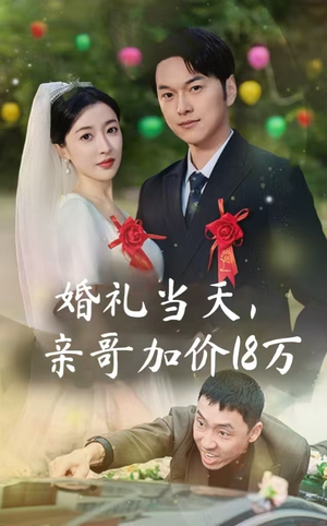 婚礼当天，亲哥加价18万（36集）推荐你们也去看