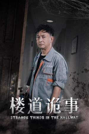 消失的1803（23集）短剧热播推荐