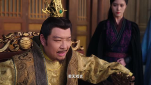 恋恋花颜御捕（25集）全集免费