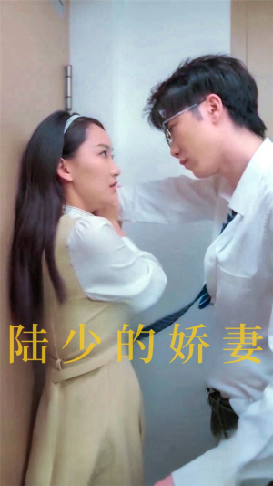 陆少的娇妻（100集）短剧免费看