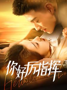 你好厉指挥（100集）一口气看完