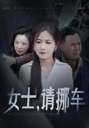 善门难开（29集）精彩短剧追不停