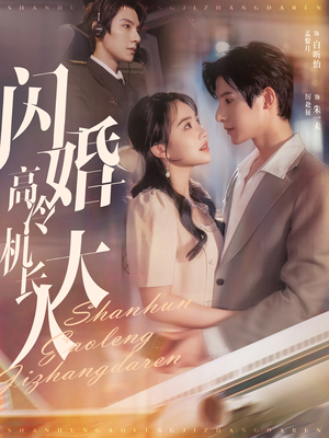 闪婚高冷机长大人（92集）短剧排行榜