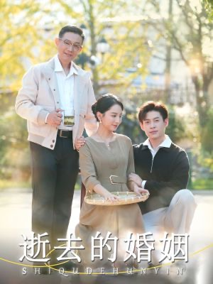 逝去的婚姻（60集）短剧演员排行榜