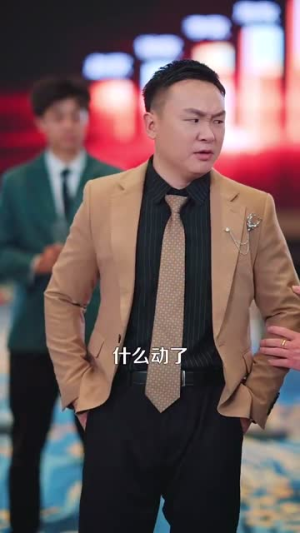 退婚你提的，我走你哭啥（110集）热播短剧全集看