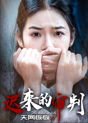 天网恢恢之迟来的审判（31集）无需会员轻松看