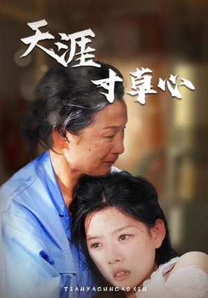 天涯寸草心（76集）短剧分享片段