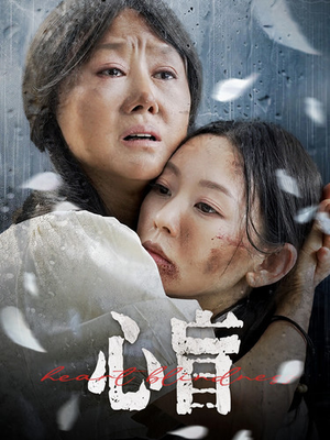 心盲（100集）在哪个平台看