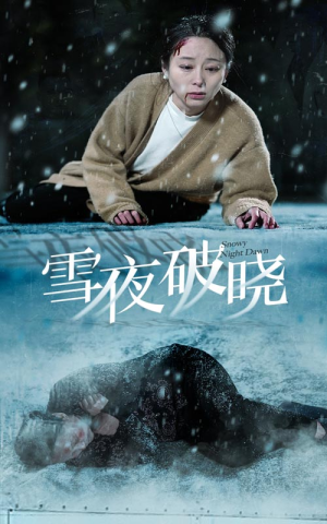 雪夜破晓（36集）独家短剧免费看